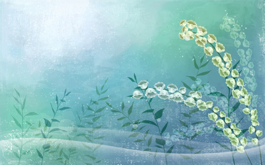 479796 (a): :1920x1200